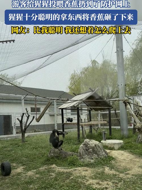解决方案 第9页